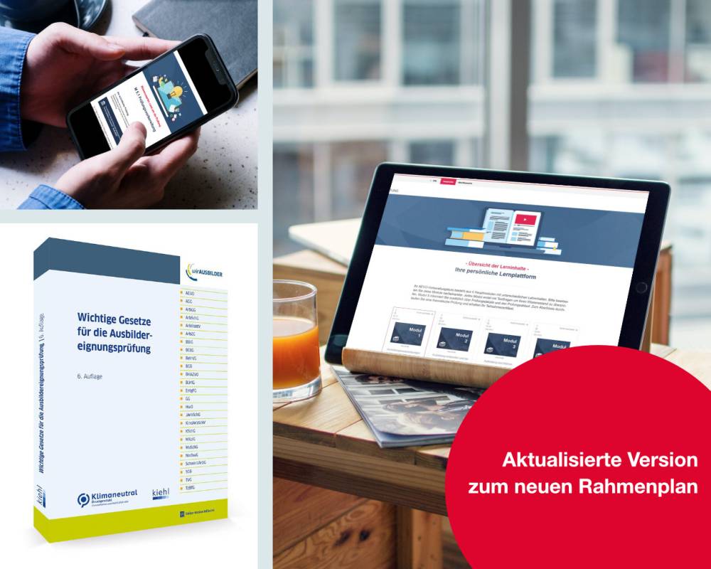 Ansichten des AEVO Online Kurses
